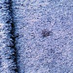detail11