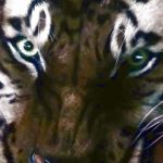 hdr9