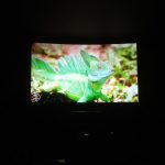 IMG_20170114_1810051