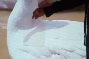 Kontrast_Leinwand_ALR_Screen_77